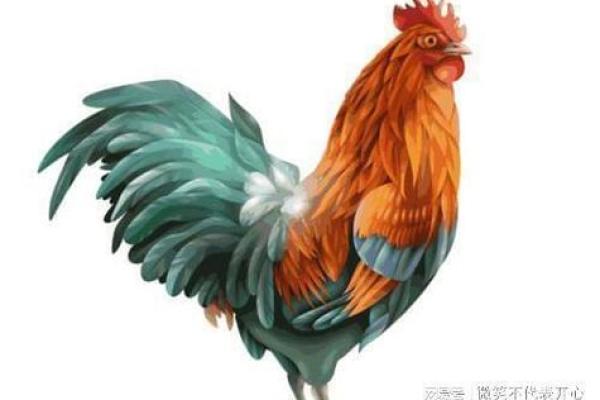 2005属鸡男孩一生的命运_2005年出生的鸡男孩命运 2005属鸡男孩一生的命运_2005年出生的鸡男孩命运