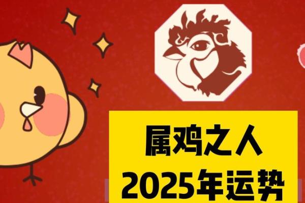 2025年属猪的幸运色是什么颜色_2025年属鸡的幸运数字和颜色 2025年属猪的幸运色是什么颜色_2025年属鸡的幸运数字和颜色