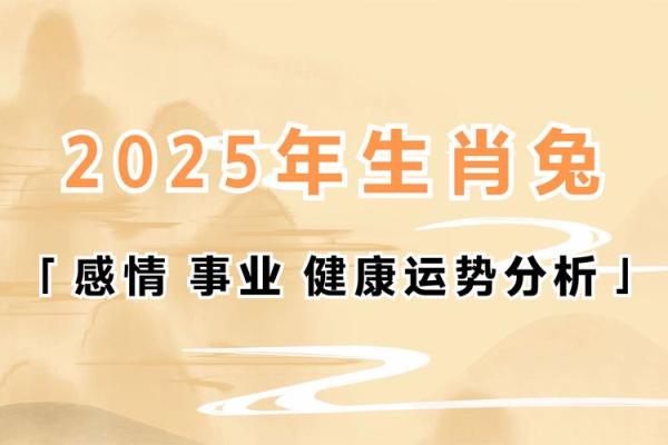 2025年属兔幸运色揭秘哪种颜色最旺运 2025年属兔幸运色揭秘哪种颜色最旺运