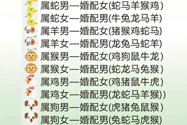 男鼠和女羊的属相适合结婚吗 男鼠和女羊的属相合不合 男鼠和女羊的属相适合结婚吗 男鼠和女羊的属相合不合