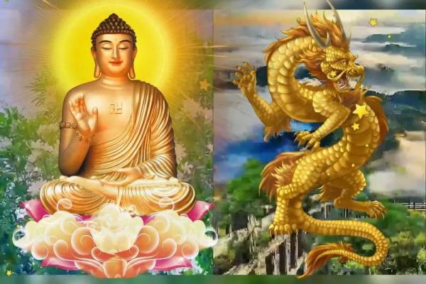 76年属龙的今年多大了_76年属龙今年多大岁数了 76年属龙的今年多大了_76年属龙今年多大岁数了