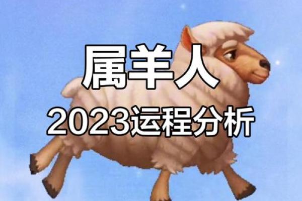 2003年属羊的今年多大2023年年龄详解