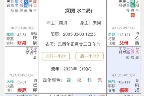 夫妻宫有化权 攀龙附凤_夫妻宫有化权认识较 夫妻宫有化权 攀龙附凤_夫妻宫有化权认识较