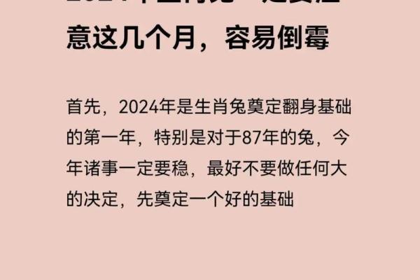 属兔2025年全年运势及运程_2025年属兔运势及运程1975年生人 属兔2025年全年运势及运程_2025年属兔运势及运程1975年生人