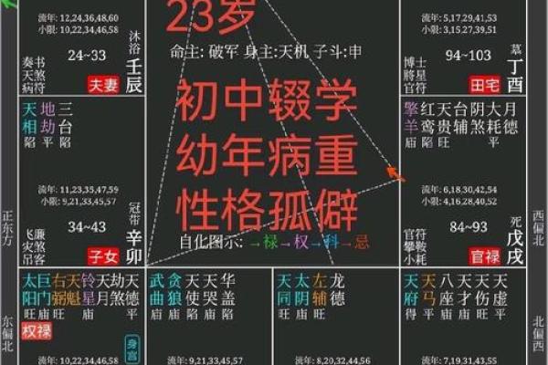 2025年3月12日子时男命紫微斗数全解盘 2025年3月12日子时男命紫微斗数全解盘
