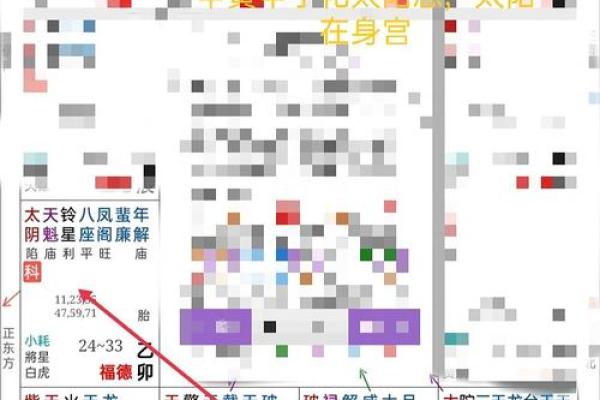 2025年3月11日寅时女命紫微斗数全解盘
