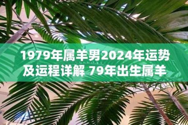1979属羊2025运势_79年羊2025年运势