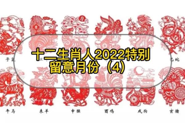 2022什么生肖年