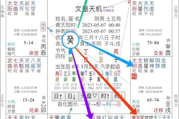 2025年2月23日子时男命紫微斗数全解盘 2025年2月23日子时男命紫微斗数全解盘