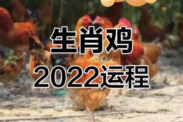 2005年属鸡在2025年运势_2005年鸡在2022年运势 2005年属鸡在2025年运势_2005年鸡在2022年运势