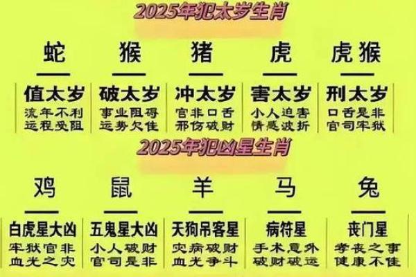 2025蛇年属龙运势详解农历各月运程全指南