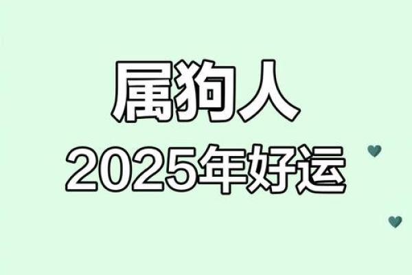 属狗男2025年全年的运势怎么样_2025年74属虎男全年运程
