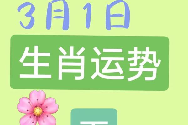 属羊人2021年全年运势