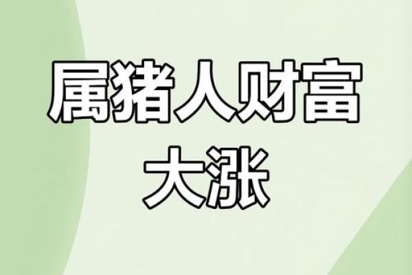 属猪的人今日运势和财运 属猪人今日运势解析财运亨通机遇与挑战并存