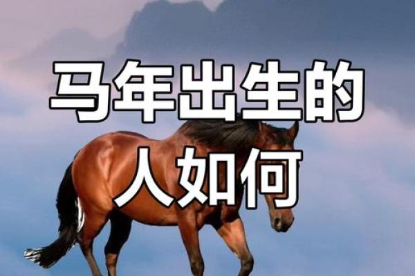 2014年属马一生命运如何_2014年属马人一生命运解析运势走向与命理揭秘 2014年属马一生命运如何_2014年属马人一生命运解析运势走向与命理揭秘