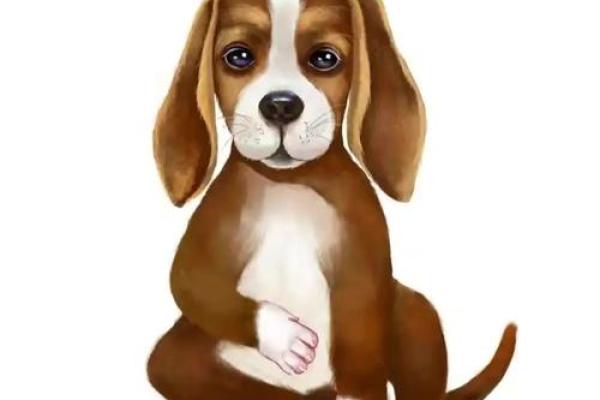 70年狗2025年的运势及运程_2025年70年属狗人运势详解运程预测与开运指南 70年狗2025年的运势及运程_2025年70年属狗人运势详解运程预测与开运指南