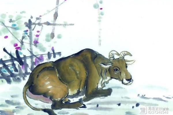 目光短浅的三大生肖