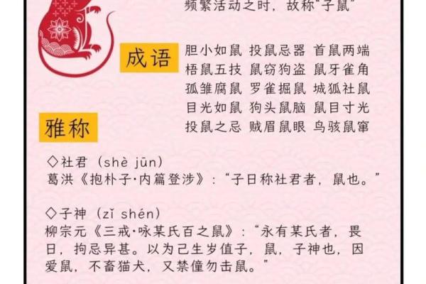 一眼关七代表什么生肖(一眼关七望清底细是什么生肖)