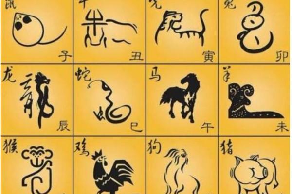 艺高胆大是什么生肖