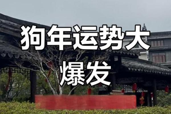 1970狗男2025年运势 1970年属狗男2025年运势详解财运事业感情全解析 1970狗男2025年运势 1970年属狗男2025年运势详解财运事业感情全解析