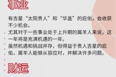 1979年属羊人2024年运势及运程_1979年属羊人2024年运势详解运程走向与吉凶预测
