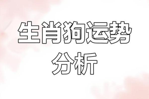 1970年属狗女今日财运解析运势如何提升