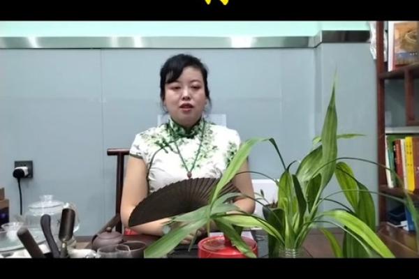 2025年属狗人发横财吗_2025年属狗人能否发横财运势解析与财富预测 2025年属狗人发横财吗_2025年属狗人能否发横财运势解析与财富预测