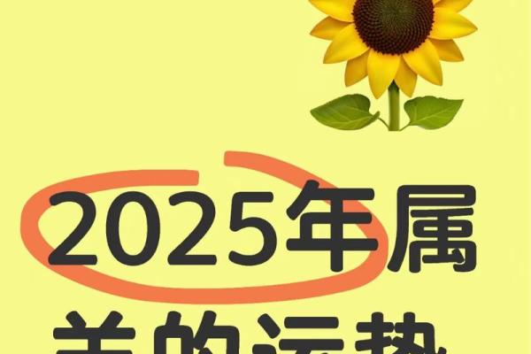 属羊人运势2025_2025年属羊人运势详解财运事业爱情全面解析