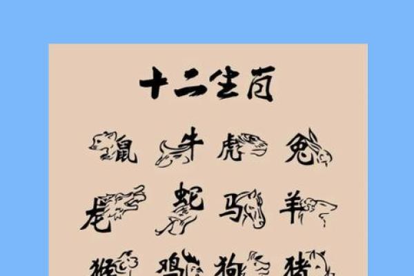 见异思迁比喻什么生肖