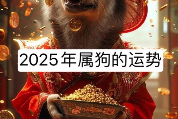1982年属狗2025年运势如何_1982年属狗2025年运势详解财运事业感情全解析 1982年属狗2025年运势如何_1982年属狗2025年运势详解财运事业感情全解析