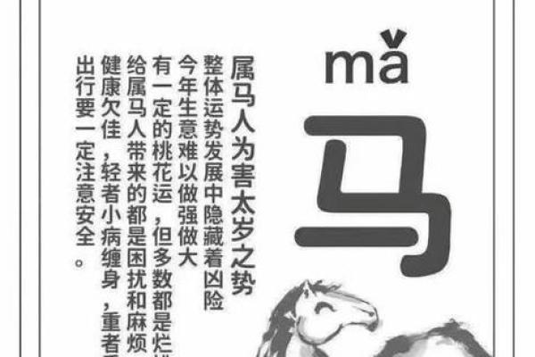 2024全年运势详解90年属马人运程吉凶预测