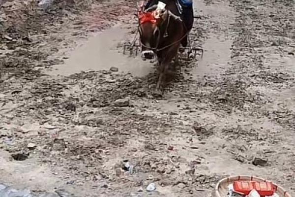 那天可以动土(那天可以动土建房) 那天可以动土(那天可以动土建房)