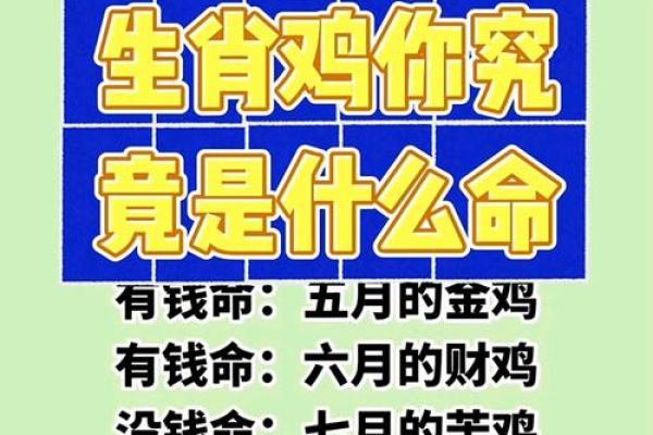 百川入海十来米是什么生肖