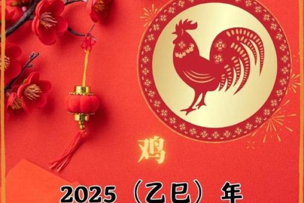 2025年属鸡是多少岁 2025年属鸡人年龄详解你今年几岁 2025年属鸡是多少岁 2025年属鸡人年龄详解你今年几岁