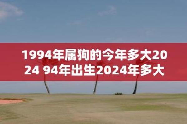 94年属狗2025年姻缘_94年狗正缘在哪年 94年属狗2025年姻缘_94年狗正缘在哪年