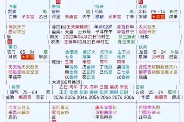 2025年3月11日丑时男命紫微斗数全解盘