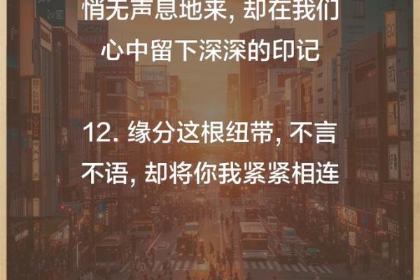 缘分匪浅 缘分匪浅命中注定的奇妙相遇 缘分匪浅 缘分匪浅命中注定的奇妙相遇