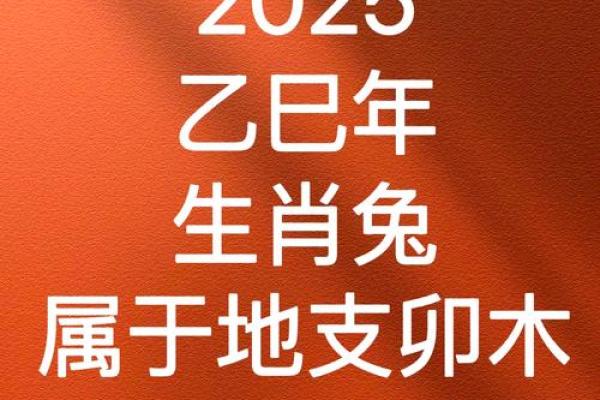 属兔的人2025年多大 属兔子的2025年运势怎么样呢