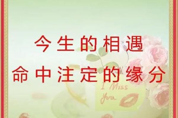 缘分的最好解释_缘分的最好解释命中注定的相遇与相知
