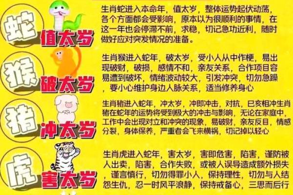 2025年羊年运势解析财运事业爱情全预测_1739565381