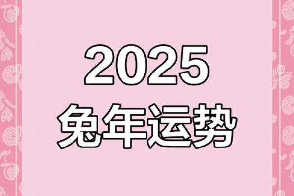 1999年属兔男2025年全年运势 1999年属兔男2025年运势详解全年运程大揭秘 1999年属兔男2025年全年运势 1999年属兔男2025年运势详解全年运程大揭秘