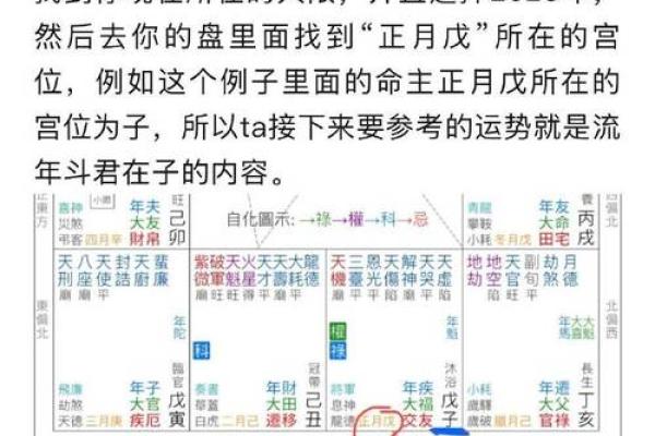 2025年3月7日丑时男命紫微斗数全解盘