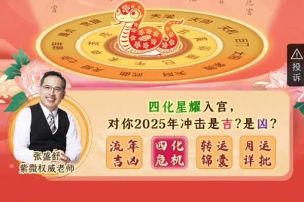 2025年2月20日子时女命紫微斗数全解盘