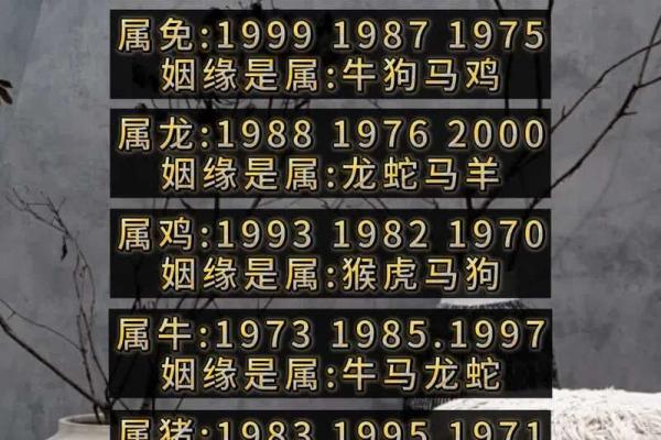 95年属猪八字姻缘_95年属猪八字姻缘运势