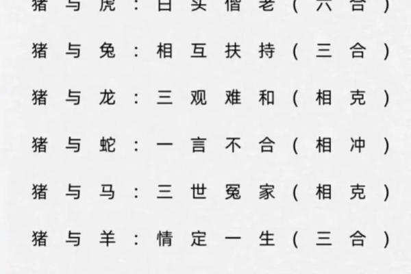 1990年属马的正缘姻缘最佳年份解析 1990年属马的正缘姻缘最佳年份解析