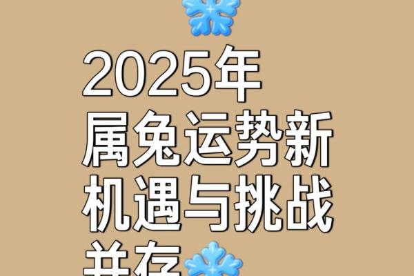 2025属兔的今年多大年龄_2025属兔的今年多大年龄了 2025属兔的今年多大年龄_2025属兔的今年多大年龄了