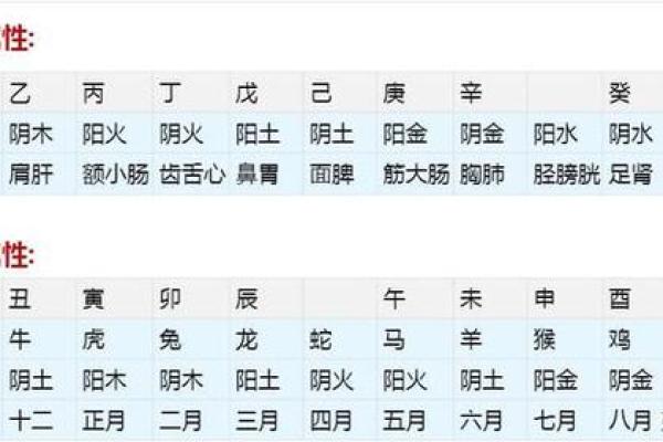 生辰八字天干地支查询_生辰八字天干地支查询精准测算命运与运势