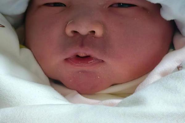 2025年4月25日出生的宝宝 2025年4月25日出生的宝宝