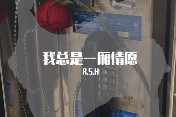 一厢情愿是什么生肖(一厢情愿是什么生肖 准确答案)