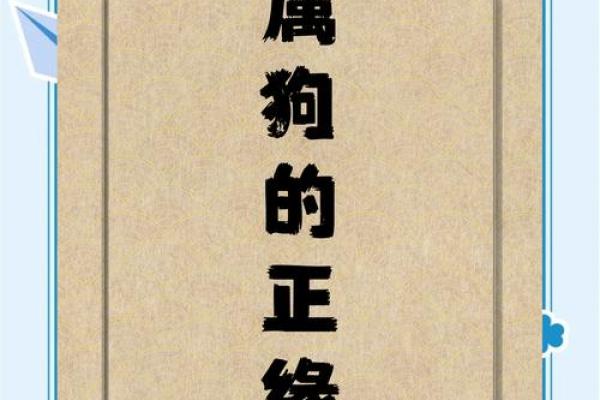 1970年属狗五行属性解析命运与性格全揭秘 1970年属狗五行属性解析命运与性格全揭秘